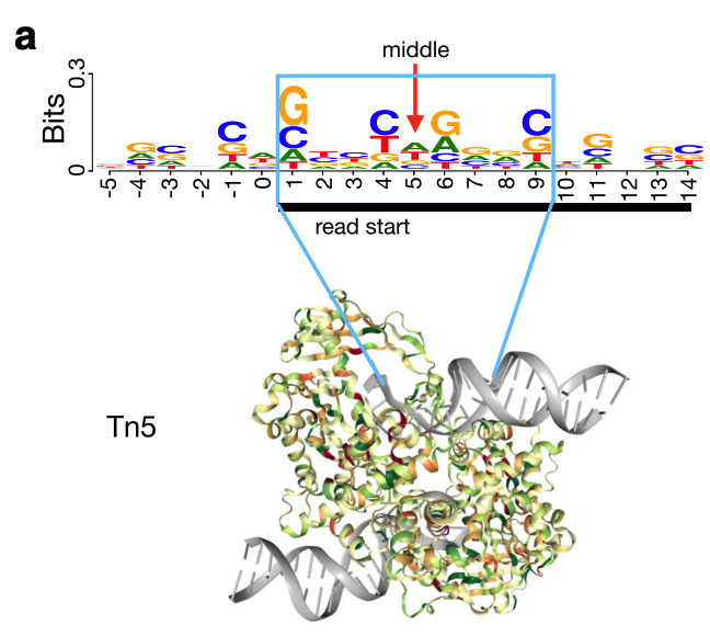 Hint ATAC figure 1C