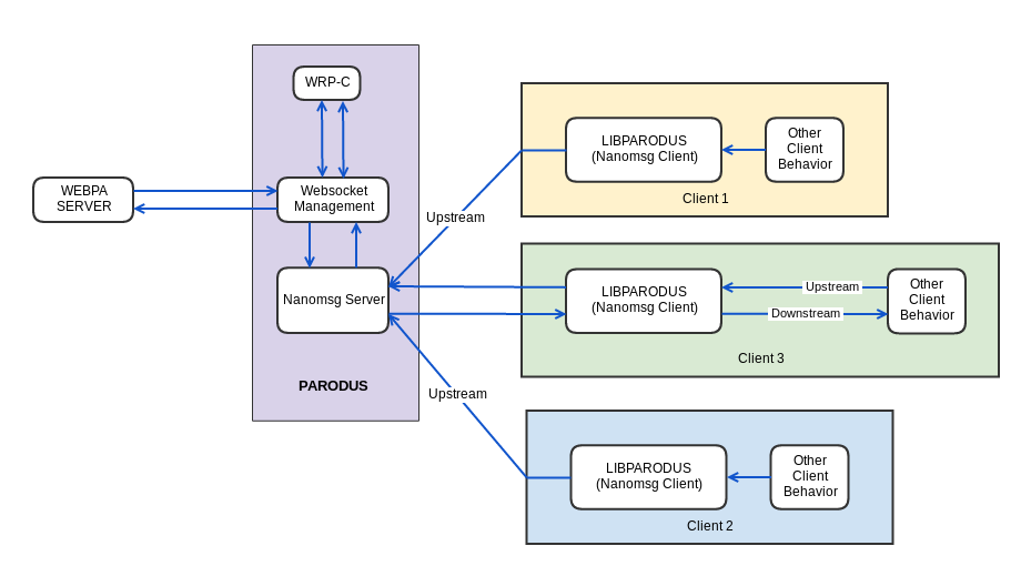 parodus_structure.png